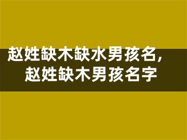 赵姓缺木缺水男孩名,赵姓缺木男孩名字