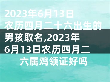 2023年6月13日农历四月二十六出生的男孩取名,2023年6月13日农历四月二六属鸡领证好吗