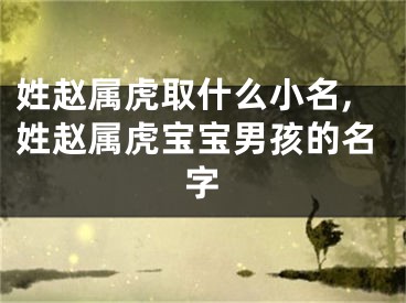 姓赵属虎取什么小名,姓赵属虎宝宝男孩的名字