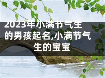 2023年小满节气生的男孩起名,小满节气生的宝宝