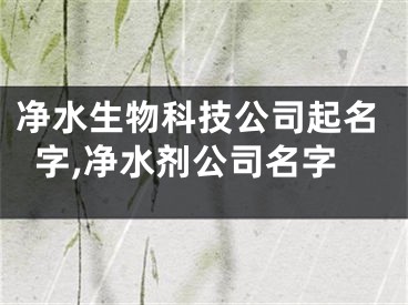 净水生物科技公司起名字,净水剂公司名字