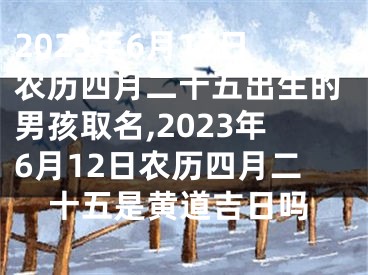 2023年6月12日农历四月二十五出生的男孩取名,2023年6月12日农历四月二十五是黄道吉日吗