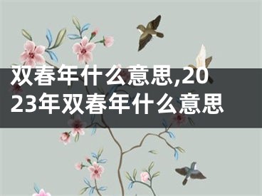 双春年什么意思,2023年双春年什么意思