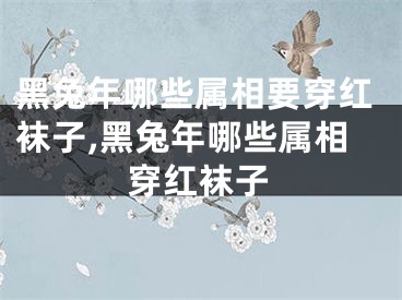 黑兔年哪些属相要穿红袜子,黑兔年哪些属相穿红袜子