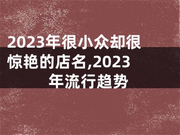 2023年很小众却很惊艳的店名,2023年流行趋势