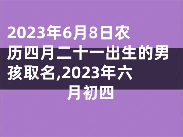 2023年6月8日农历四月二十一出生的男孩取名,2023年六月初四