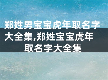 郑姓男宝宝虎年取名字大全集,郑姓宝宝虎年取名字大全集