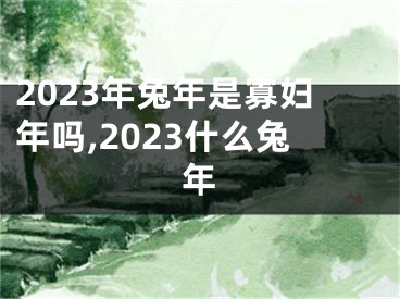 2023年兔年是寡妇年吗,2023什么兔年