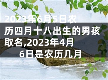 2023年6月5日农历四月十八出生的男孩取名,2023年4月6日是农历几月