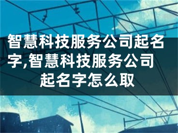 智慧科技服务公司起名字,智慧科技服务公司起名字怎么取