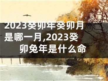 2023癸卯年癸卯月是哪一月,2023癸卯兔年是什么命