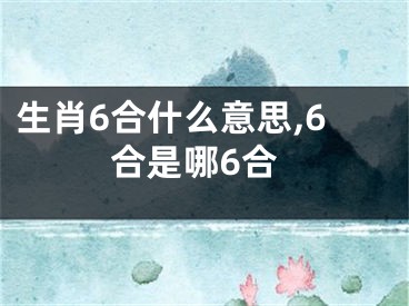 生肖6合什么意思,6合是哪6合