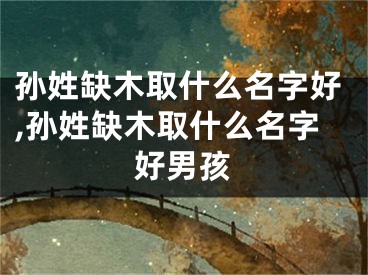 孙姓缺木取什么名字好,孙姓缺木取什么名字好男孩