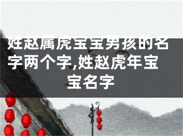 姓赵属虎宝宝男孩的名字两个字,姓赵虎年宝宝名字