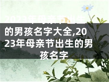 2023年母亲节出生的男孩名字大全,2023年母亲节出生的男孩名字