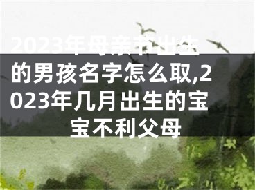 2023年母亲节出生的男孩名字怎么取,2023年几月出生的宝宝不利父母