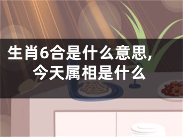 生肖6合是什么意思,今天属相是什么