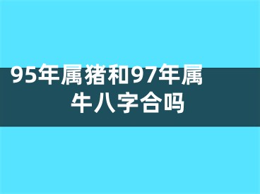 95年属猪和97年属牛八字合吗