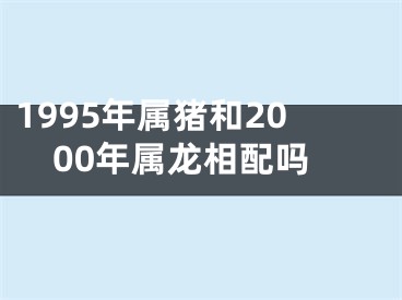 1995年属猪和2000年属龙相配吗