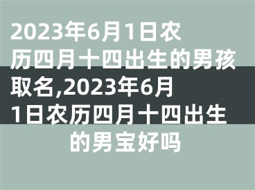 2023年6月1日农历四月十四出生的男孩取名,2023年6月1日农历四月十四出生的男宝好吗