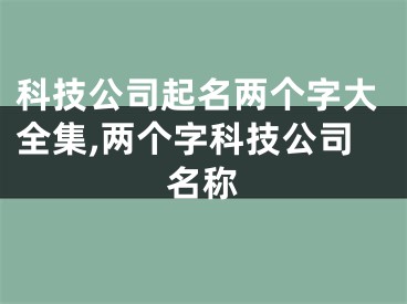 科技公司起名两个字大全集,两个字科技公司名称