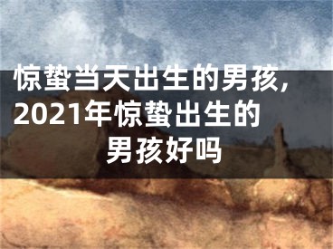 惊蛰当天出生的男孩,2021年惊蛰出生的男孩好吗