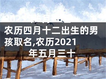 2023年5月30日农历四月十二出生的男孩取名,农历2021年五月三十