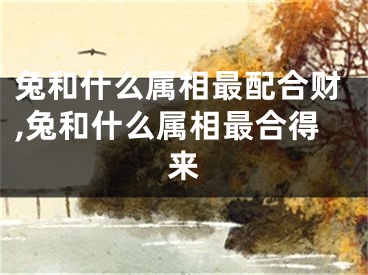 兔和什么属相最配合财,兔和什么属相最合得来