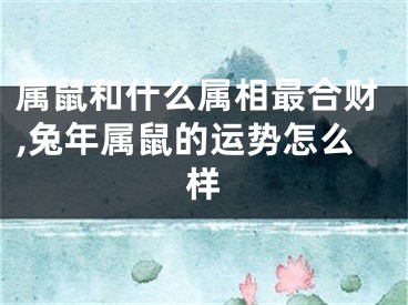 属鼠和什么属相最合财,兔年属鼠的运势怎么样