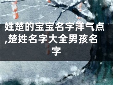 姓楚的宝宝名字洋气点,楚姓名字大全男孩名字