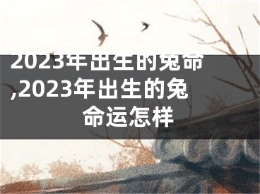 2023年出生的兔命,2023年出生的兔命运怎样