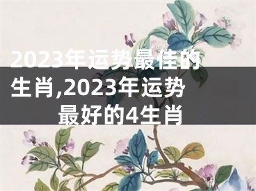 2023年运势最佳的生肖,2023年运势最好的4生肖