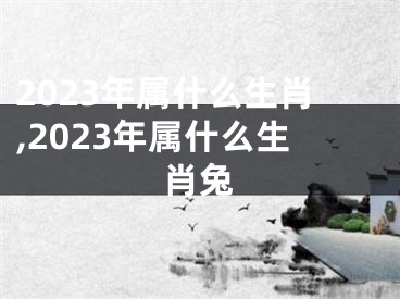 2023年属什么生肖,2023年属什么生肖兔