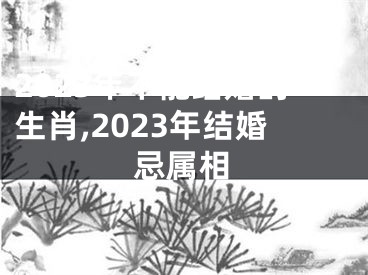 2023年不能结婚的生肖,2023年结婚忌属相