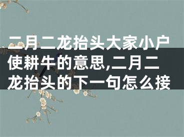 二月二龙抬头大家小户使耕牛的意思,二月二龙抬头的下一句怎么接