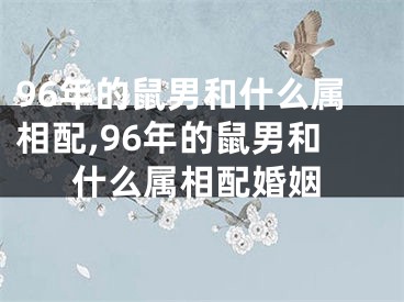 96年的鼠男和什么属相配,96年的鼠男和什么属相配婚姻