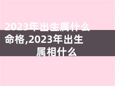 2023年出生属什么命格,2023年出生属相什么