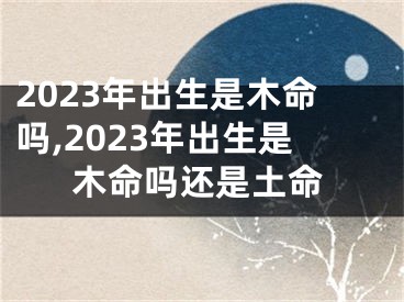 2023年出生是木命吗,2023年出生是木命吗还是土命