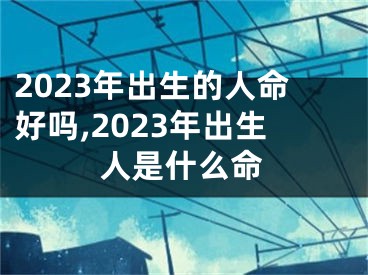 2023年出生的人命好吗,2023年出生人是什么命