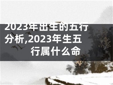 2023年出生的五行分析,2023年生五行属什么命