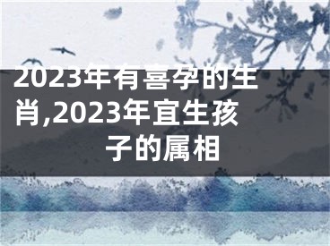 2023年有喜孕的生肖,2023年宜生孩子的属相