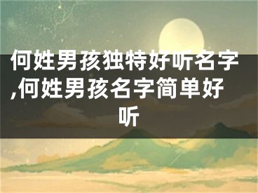 何姓男孩独特好听名字,何姓男孩名字简单好听