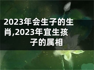 2023年会生子的生肖,2023年宜生孩子的属相