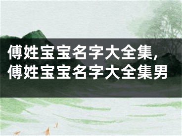 傅姓宝宝名字大全集,傅姓宝宝名字大全集男