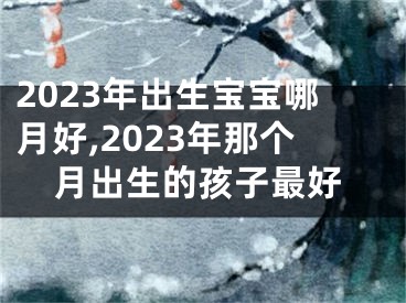 2023年出生宝宝哪月好,2023年那个月出生的孩子最好