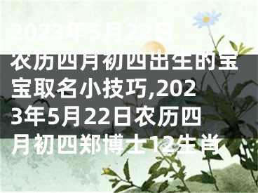 2023年5月22日农历四月初四出生的宝宝取名小技巧,2023年5月22日农历四月初四郑博士12生肖