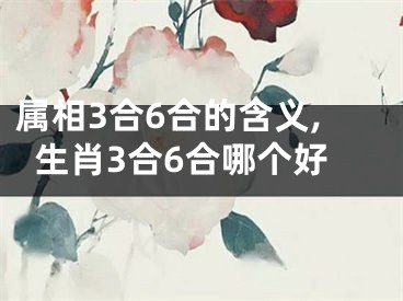 属相3合6合的含义,生肖3合6合哪个好