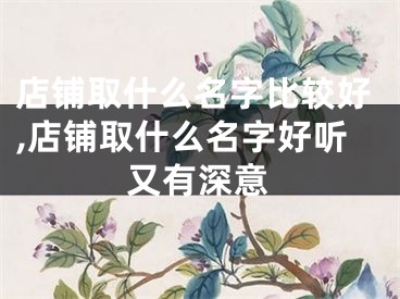 店铺取什么名字比较好,店铺取什么名字好听又有深意