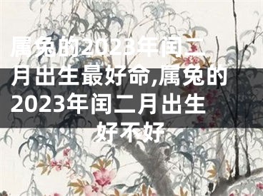 属兔的2023年闰二月出生最好命,属兔的2023年闰二月出生好不好