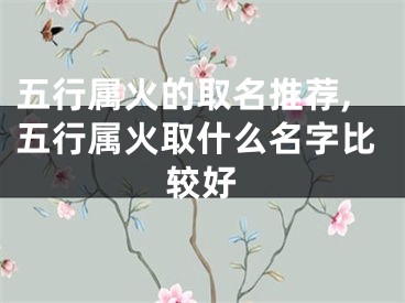 五行属火的取名推荐,五行属火取什么名字比较好